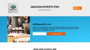 Обзор сайта amzexpertspro.com